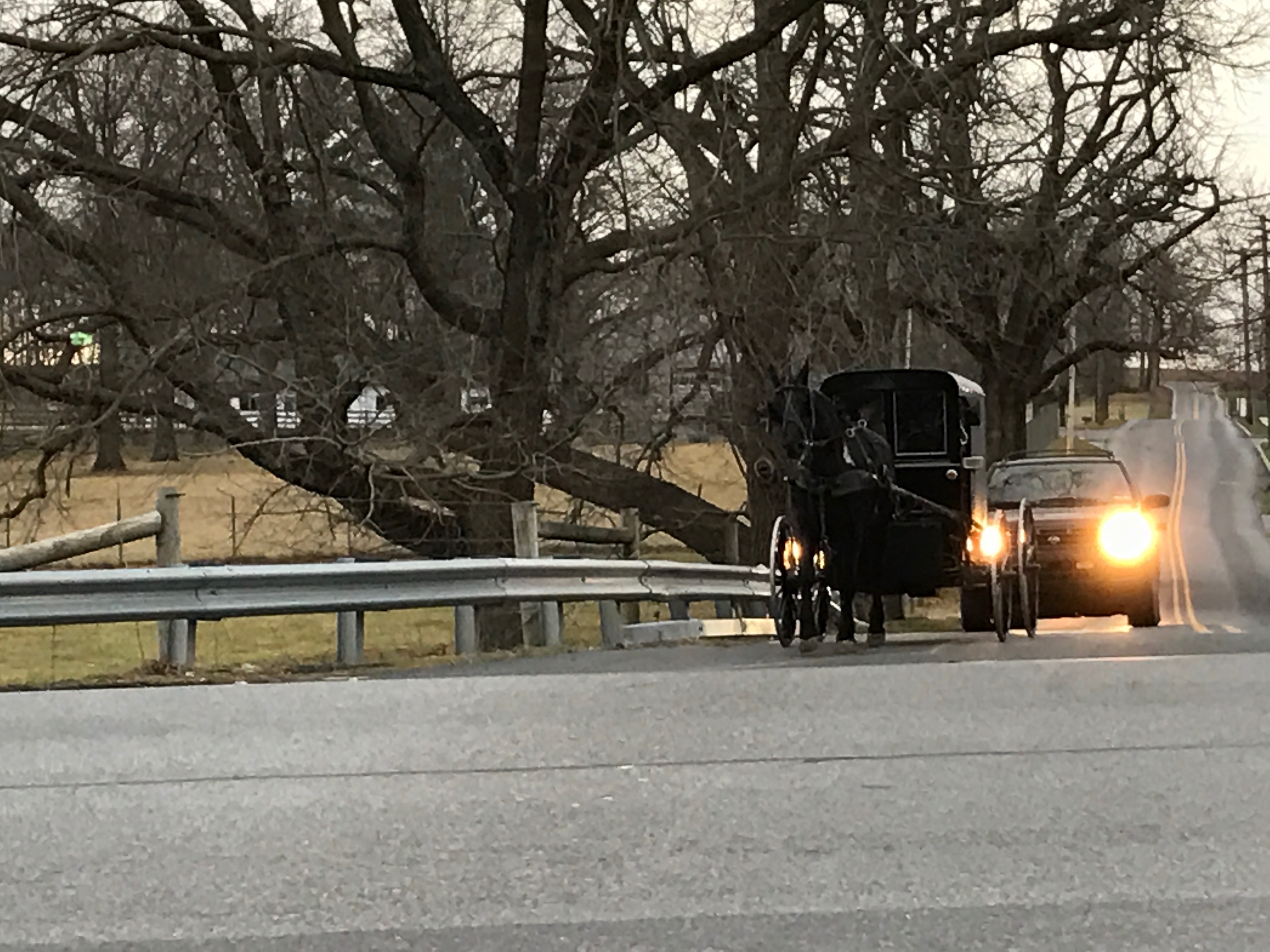 Amish Transportation